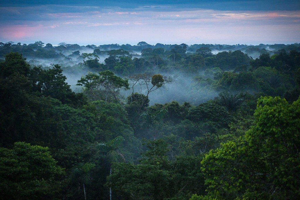 Những điều bí ẩn trong rừng Amazon khiến bạn hết hồn