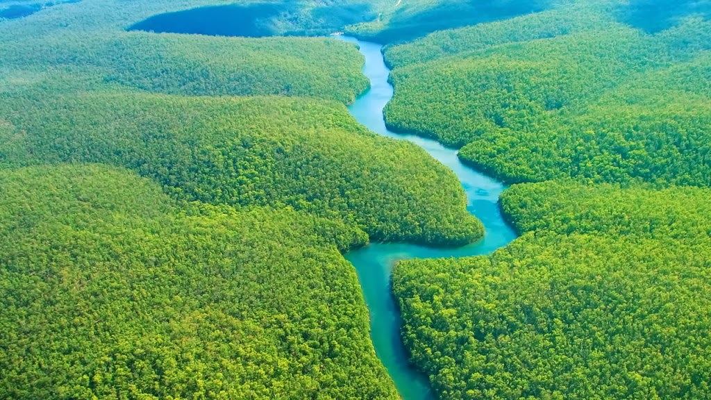 Những điều bí ẩn trong rừng Amazon khiến bạn hết hồn