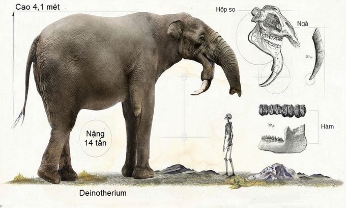 Những quái vật thống trị thế giới thời tiền sử