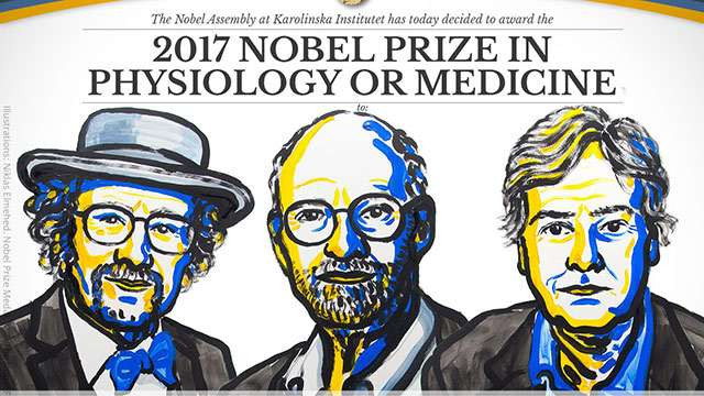 Nobel Y học 2017 cho khám phá về cơ chế kiểm soát nhịp sinh học