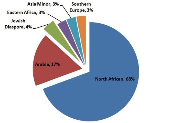 Phân tích ADN sốc: Phần lớn người Ai Cập không phải gốc Arab