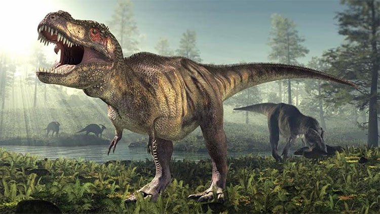 Phát hiện 300 dấu chân khủng long tại Trung Quốc