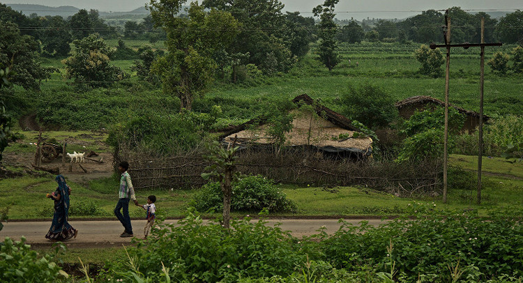 Phát hiện bất ngờ về làng tự tử ở Ấn Độ