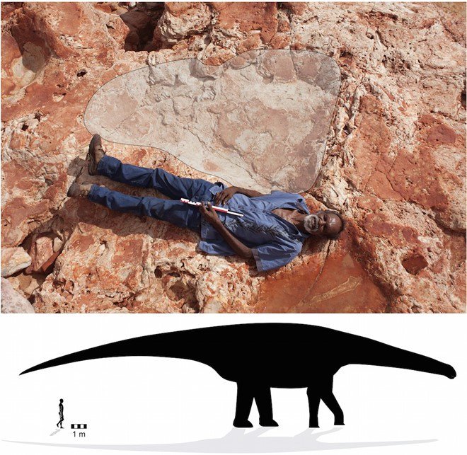 Phát hiện dấu chân khủng long lớn nhất thế giới ở Australia