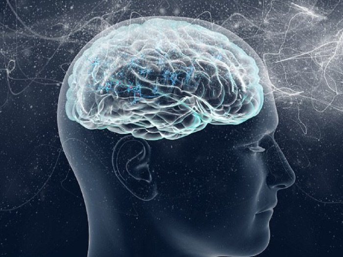 Phát hiện gây sốc: Ý thức không hoàn toàn nằm ở não, vậy chúng nằm ở đâu?