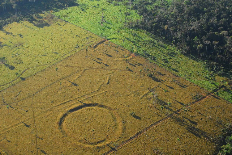 Phát hiện hàng trăm vòng tròn bí ẩn Stonehenge giữa rừng Amazon