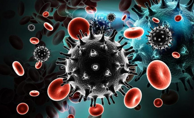 Phát hiện kháng thể trung hòa virus HIV