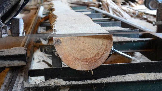 Phát hiện mùn cưa, phôi gỗ, vỏ bào… có thể giúp kết dính bê tông chắc hơn