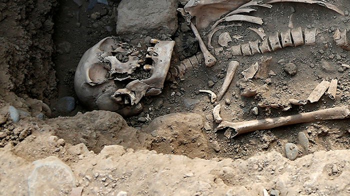 Phát hiện những sự bạo lực kinh dị của con người 6.000 năm trước