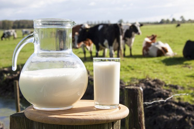 Phương pháp bảo quản sữa tươi hơn 2 tháng