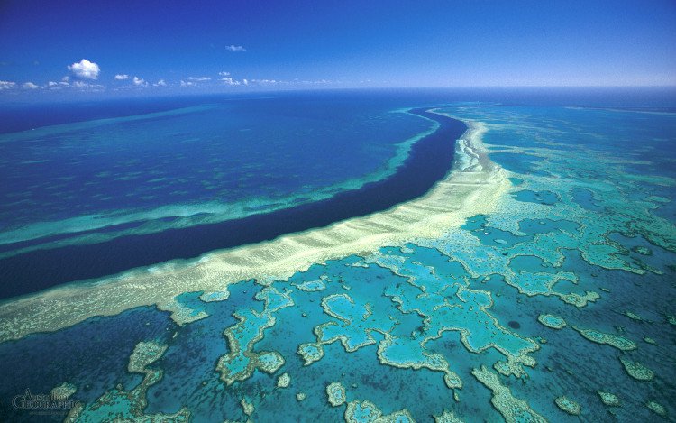Rạn san hô lớn nhất thế giới đối mặt nguy cơ bị xóa sổ vĩnh viễn