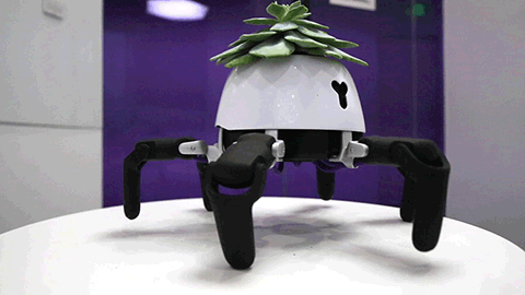 Robot đầu chỉ để trồng cây biết tìm tới ánh sáng để quang hợp, báo hiệu khi cây khát nước