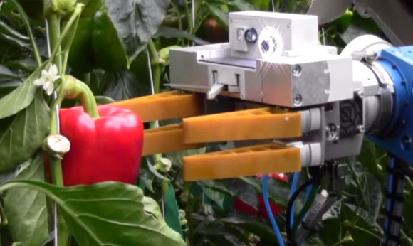 Robot thu hoạch trái cây