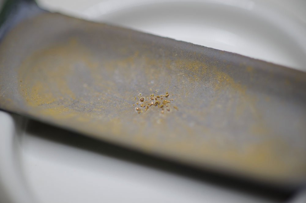 Sản xuất vàng 24-karat bằng vi khuẩn