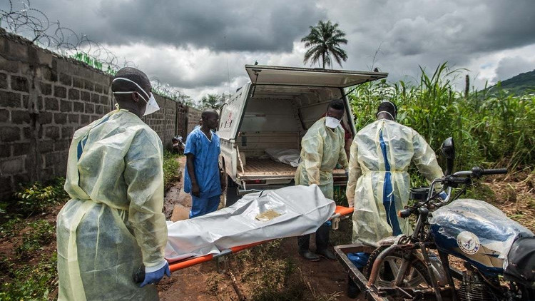 Sau Ebola và Zika, đại dịch bệnh tiếp theo có thể đã bắt đầu mà chúng ta chưa hề biết