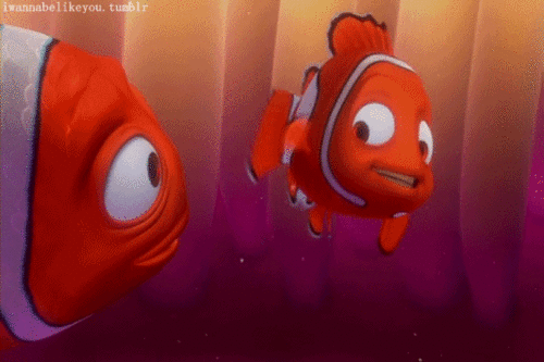 Sự thật về Finding Nemo: Cá bố Marlin sẽ chuyển giới ngay sau khi cá mẹ qua đời