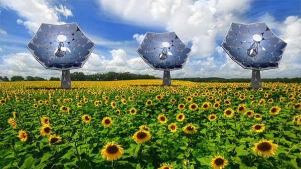 Sunflower - Hệ thống cung cấp điện và nước sạch
