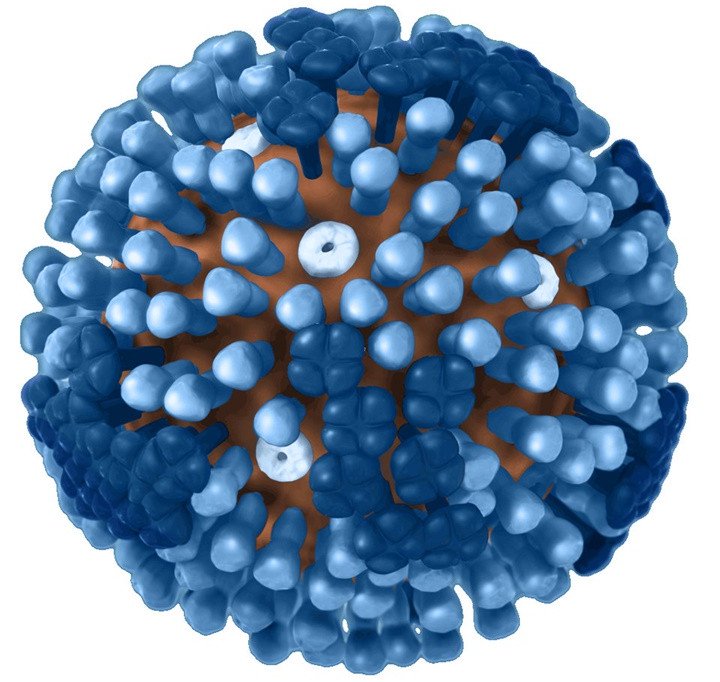 Tại sao bệnh cúm làm bạn thấy khó chịu?