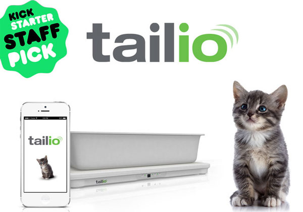 Tailio - Chiếc hộp thông minh theo dõi sức khỏe mèo