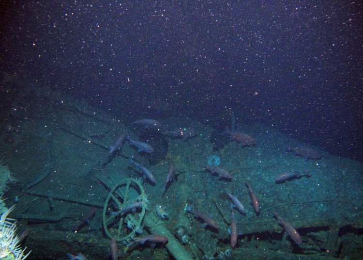 Tàu ngầm đầu tiên của Úc đã được tìm thấy sau hơn 100 năm biến mất
