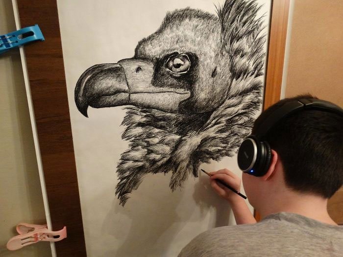 Thần đồng 15 tuổi gây kinh ngạc với tài vẽ động vật từ trí nhớ