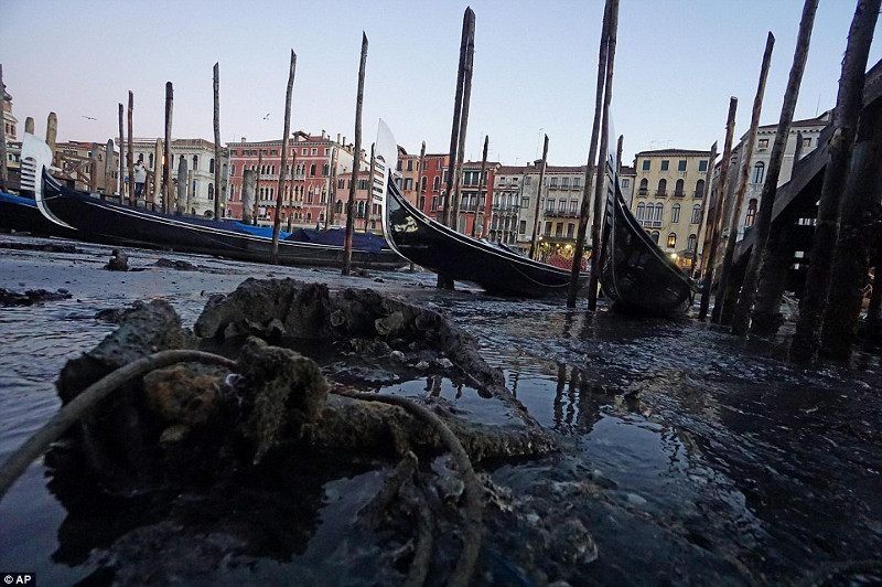 Thành phố nổi Venice có thể biến mất vì cạn nước