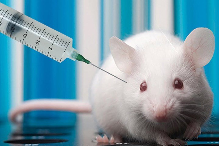 Thử nghiệm thành công vắc xin chống ung thư trên động vật