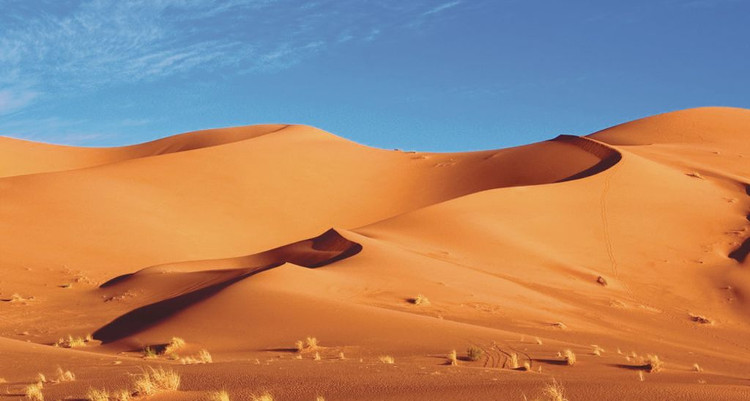 Thủ phạm biến thảo nguyên Sahara thành sa mạc khô cằn