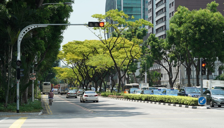 Thủ tướng Lý Quang Diệu đưa Singapore thành “quốc đảo xanh” thế nào?