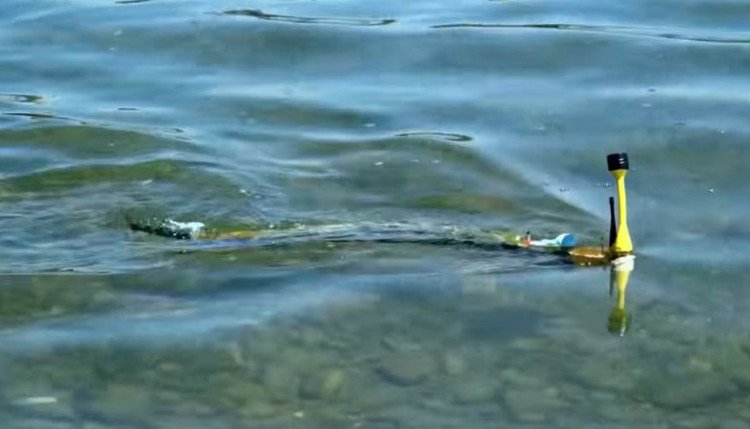 Thụy Sỹ phát triển thành công robot lươn phát hiện ô nhiễm trong nước