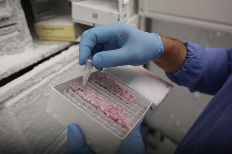 Tiêm hạt nano vàng vào máu để điều trị ung thư não