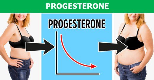 Tìm hiểu nhanh những loại hormone có thể là nguyên nhân khiến bạn bị béo phì!