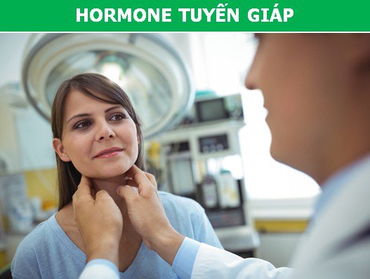 Tìm hiểu nhanh những loại hormone có thể là nguyên nhân khiến bạn bị béo phì!