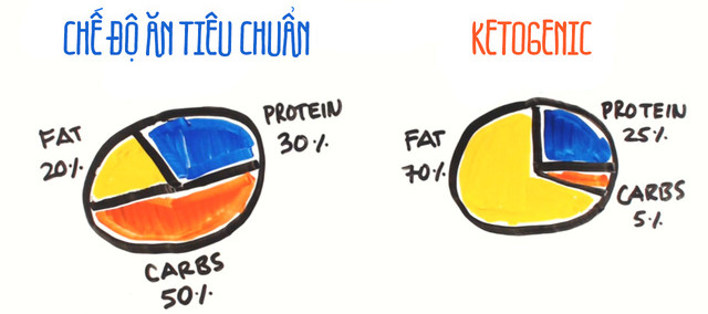 Tìm hiểu về chế độ ăn Ketogenic mà người dùng Google không ngừng tìm kiếm