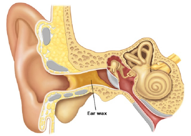 Tìm hiểu về những thứ “kinh dị” trong cơ thể người