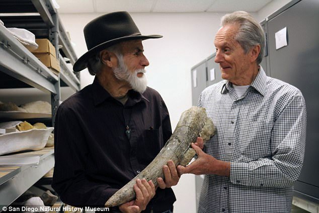 Tìm ra hóa thạch có khả năng viết lại toàn bộ lịch sử về con người