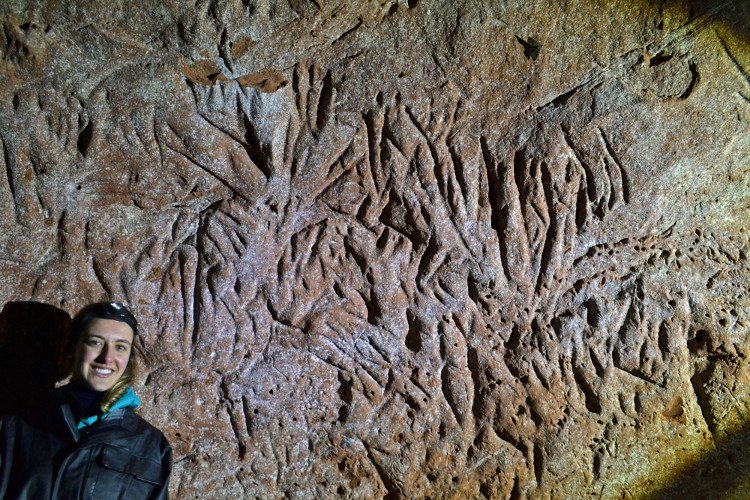 Tìm thấy hang khổng lồ do quái vật đào ở Brazil