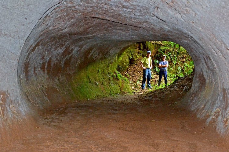 Tìm thấy hang khổng lồ do quái vật đào ở Brazil