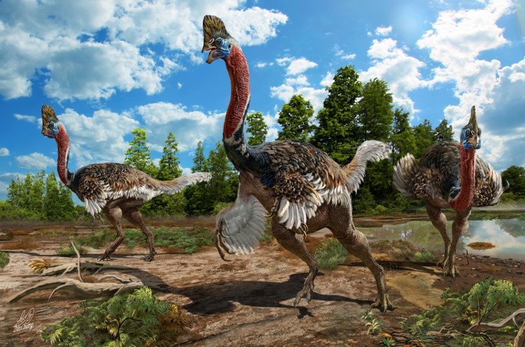 Tìm thấy hóa thạch hoàn hảo của loài khủng long giống hệt đà điểu
