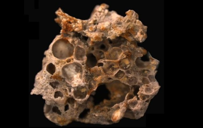 Tìm thấy kho oxy do vi khuẩn lưu giữ trong các mẫu hóa thạch 1,6 tỉ năm trước