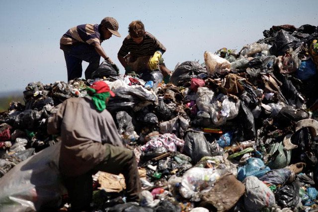 Tìm thấy sinh vật giúp tiêu hủy rác thải nhựa nhanh nhất