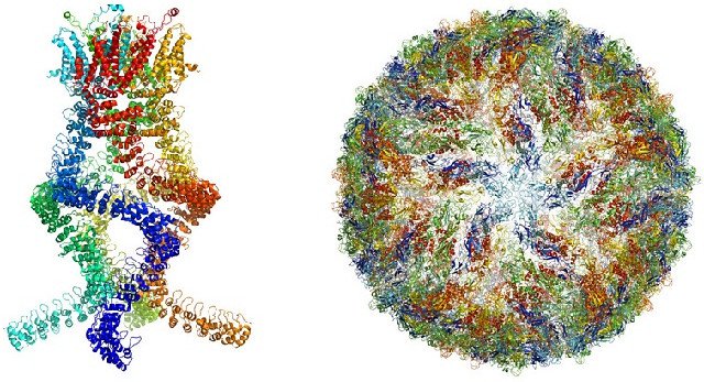 Tính ứng dụng của kỹ thuật chụp phân tử sinh học giành giải Nobel