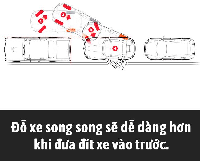 Tổng hợp những sự thật thú vị có thể bạn chưa biết!