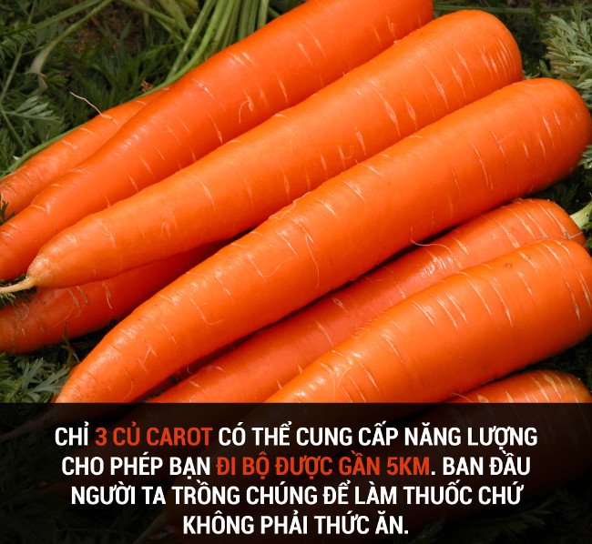 Tổng hợp những sự thật thú vị có thể bạn chưa biết!