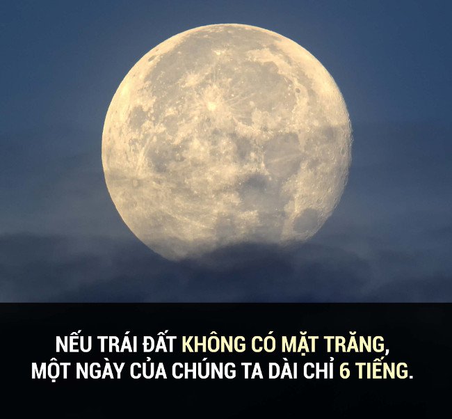 Tổng hợp những sự thật thú vị có thể bạn chưa biết!