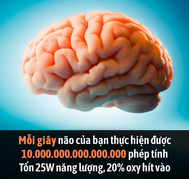 Tổng hợp những sự thật thú vị có thể bạn chưa biết!