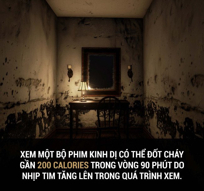 Tổng hợp những sự thật thú vị có thể bạn chưa biết!