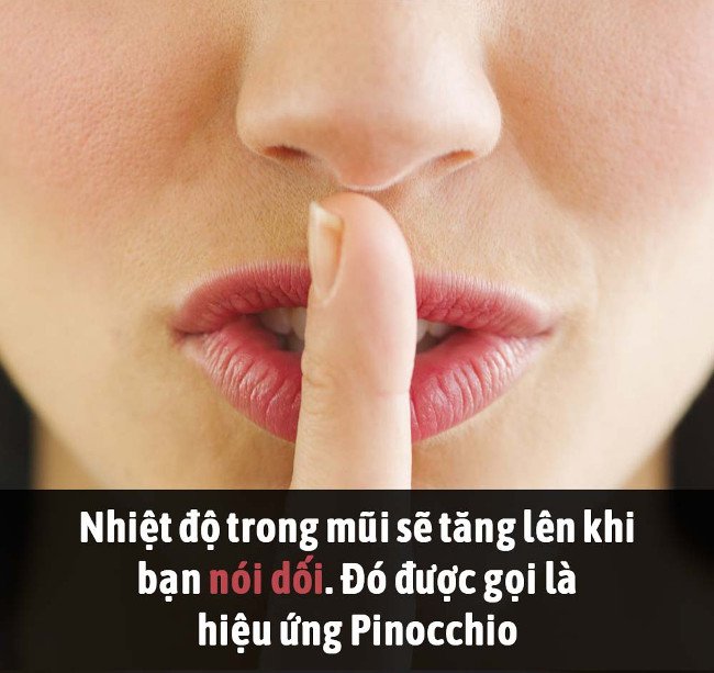 Tổng hợp những sự thật thú vị có thể bạn chưa biết!