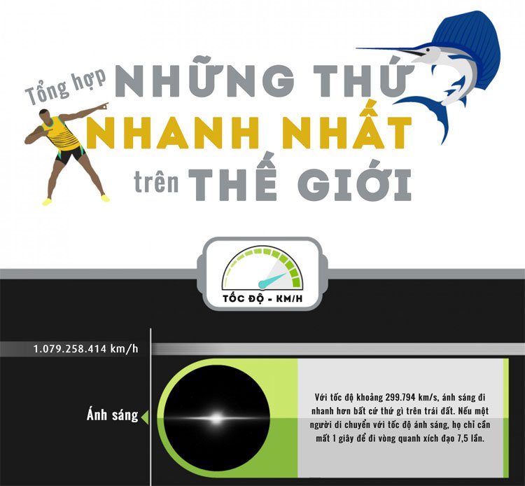 Tổng hợp những thứ nhanh nhất trên thế giới