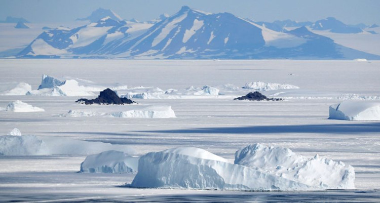 Trái Đất nóng lên khiến Nam Cực ngày càng phủ nhiều màu xanh hơn